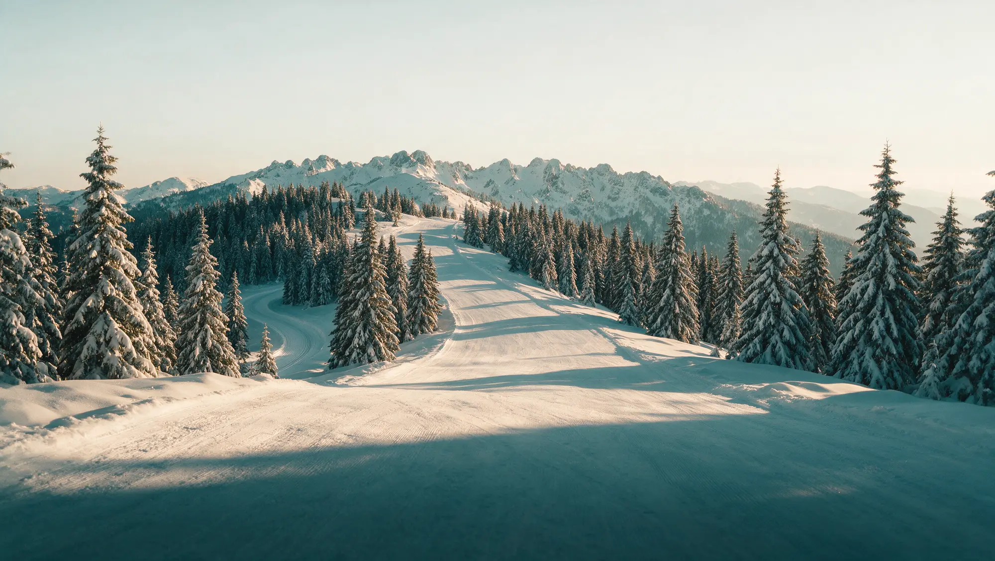 Kopaonik u zoru — mesto održavanja Kopaoničke škole prirodnog prava