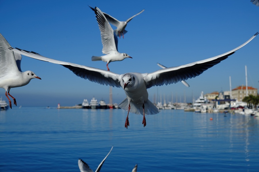 split i plitvicka jezera prvi maj bancor travel